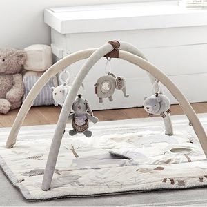 Skip Hop x pbk Animal Friends Classic Activity Gym